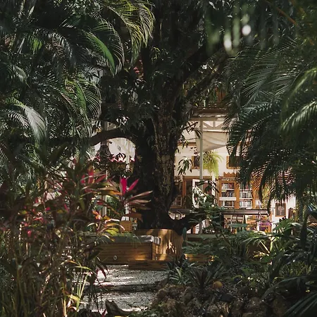 Griss Lodge & Spa-2